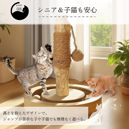 Harry Barker【天然木ポール】キャットトイ Sofia 爪とぎ＆ボールトラック 猫用おもちゃ コンパクト 28×28×33cm