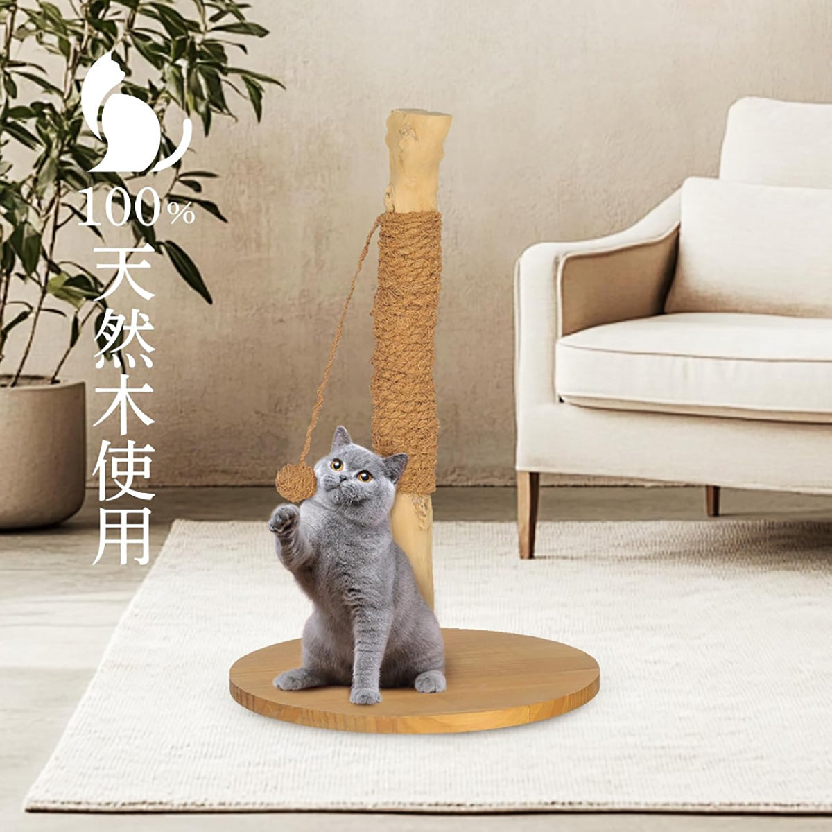 Harry Barker【天然木使用】一本木プレミアムキャットポール Abbie 39×39×62cm おしゃれ 麻縄 爪とぎ付き 据え置き型 室内用