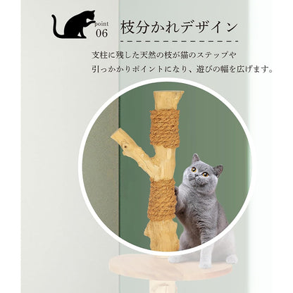 Harry Barker【天然木使用】一本木キャットポール Aria 39×39×62cm 麻縄 爪とぎ 吊りボール付き 据え置き型