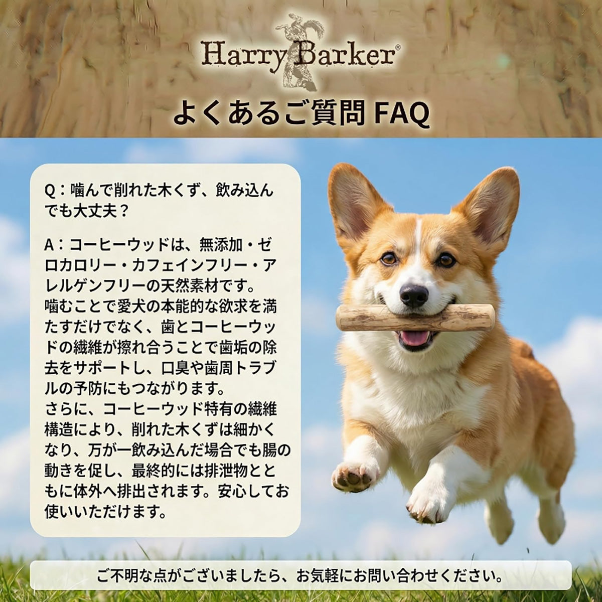 Harry Barker【天然コーヒー木使用】犬用デンタルチュウ コットンロープ付き 歯みがき効果 ストレス解消 丈夫なおもちゃ 小型犬・中型犬向け