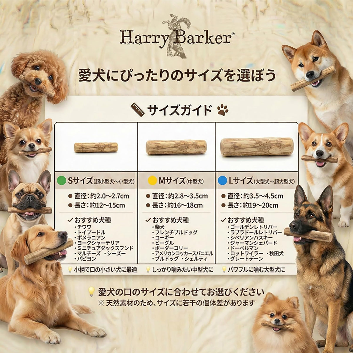 Harry Barker【天然コーヒー木使用】犬用デンタルチュウ 直径2.8〜3.5cm 16〜18cm 歯みがき効果 ストレス解消 犬用おもちゃ3点セット
