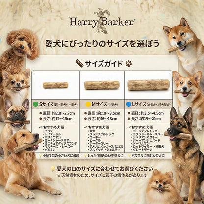 Harry Barker【天然コーヒー木使用】犬用デンタルチュウ 直径2〜2.7cm 12〜15cm 歯みがき効果 ストレス解消 犬用おもちゃ３点セット