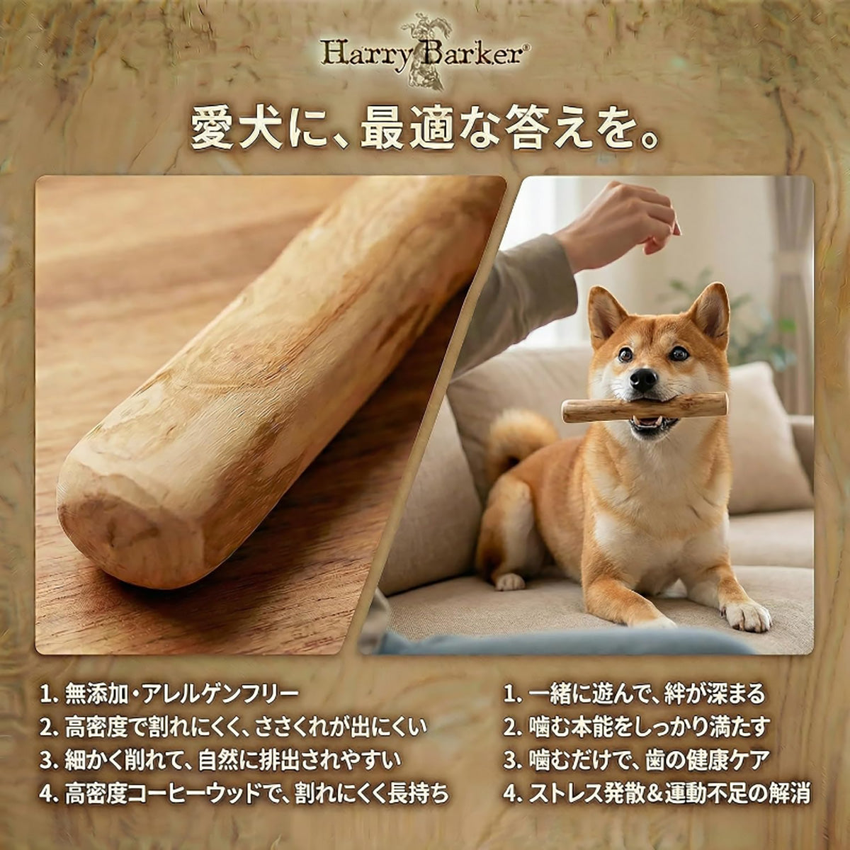 Harry Barker【天然コーヒー木使用】犬用デンタルチュウ 直径2.8〜3.5cm 16〜18cm 歯みがき効果 ストレス解消 犬用おもちゃ3点セット