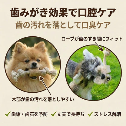 Harry Barker【天然コーヒー木使用】犬用デンタルチュウ ダンベル型 コットンロープ付き 歯みがき効果 ストレス解消 丈夫な犬用おもちゃ