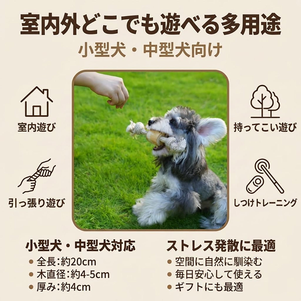 Harry Barker【天然コーヒー木使用】犬用デンタルチュウ ダンベル型 コットンロープ付き 歯みがき効果 ストレス解消 丈夫な犬用おもちゃ
