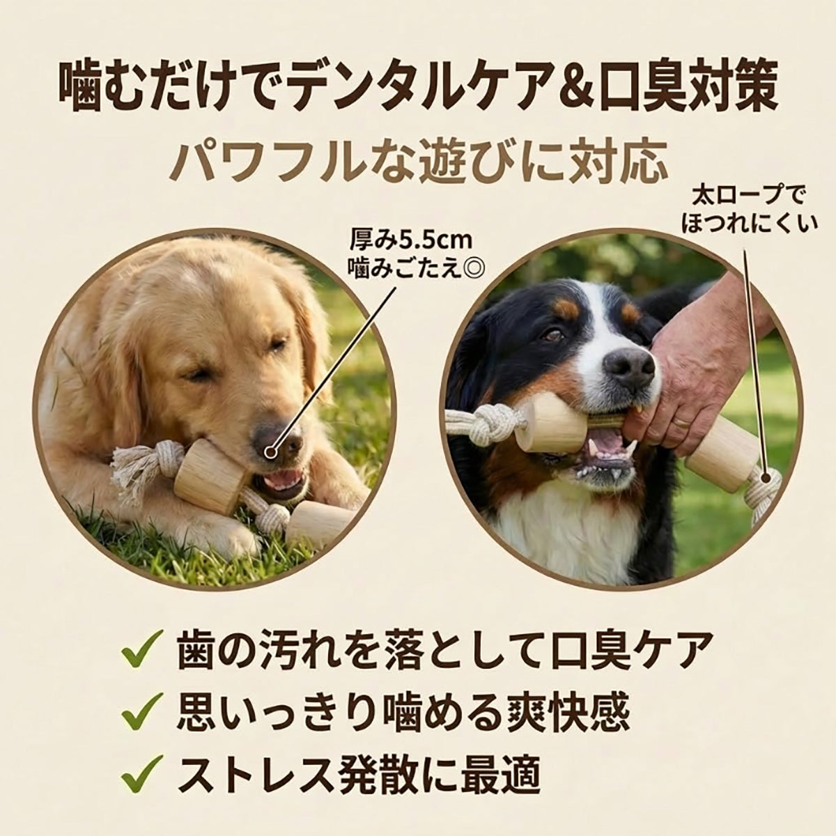 Harry Barker【天然コーヒー木使用】犬用デンタルチュウ ツインウッド コットンロープ付き 歯みがき効果 ストレス解消 丈夫な犬用おもちゃ