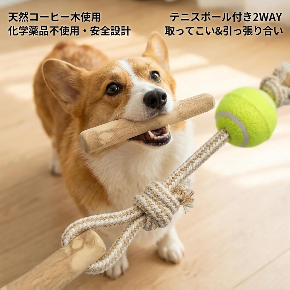 Harry Barker【天然コーヒー木使用】犬用デンタルチュウ テニスボール付き コットンロープ噛むおもちゃ 歯みがき効果 引っ張り遊び コーヒーウッド コーヒー木 天然木 無添加 デンタルケア 歯みがき 歯垢除去 歯石予防 口臭対策 ストレス解消 運動不足解消 引っ張り遊び 取ってこい レトリーブ テニスボール ロープおもちゃ コットンロープ