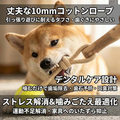 Harry Barker【天然コーヒー木使用】犬用デンタルチュウ テニスボール付き コットンロープ噛むおもちゃ 歯みがき効果 引っ張り遊び コーヒーウッド コーヒー木 天然木 無添加 デンタルケア 歯みがき 歯垢除去 歯石予防 口臭対策 ストレス解消 運動不足解消 引っ張り遊び 取ってこい レトリーブ テニスボール ロープおもちゃ コットンロープ