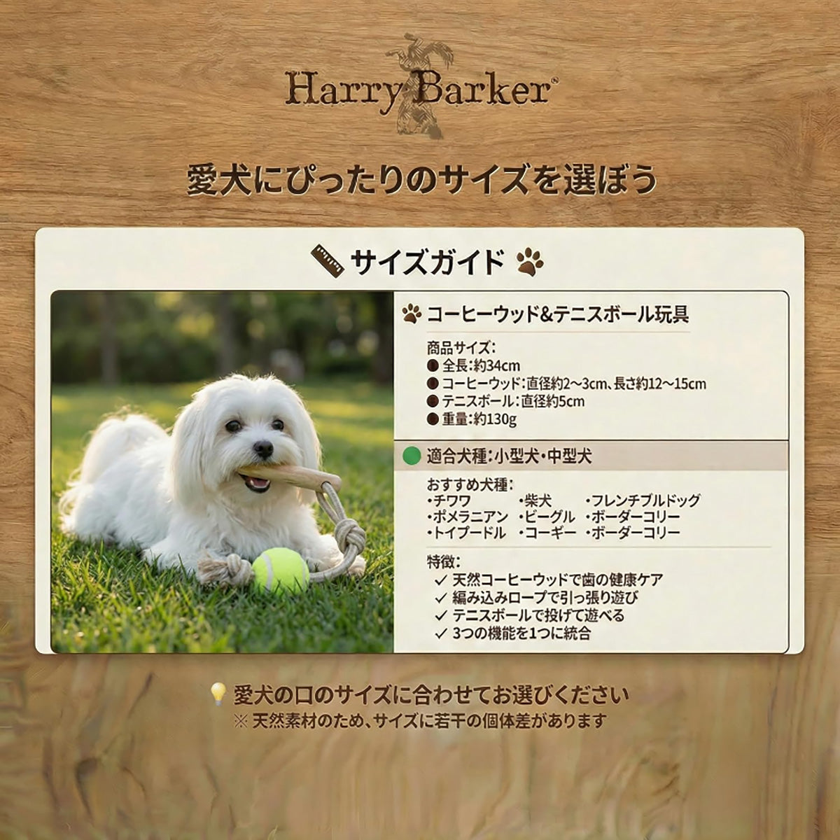 Harry Barker【天然コーヒー木使用】犬用デンタルチュウ テニスボール付き コットンロープ噛むおもちゃ 歯みがき効果 引っ張り遊び コーヒーウッド コーヒー木 天然木 無添加 デンタルケア 歯みがき 歯垢除去 歯石予防 口臭対策 ストレス解消 運動不足解消 引っ張り遊び 取ってこい レトリーブ テニスボール ロープおもちゃ コットンロープ