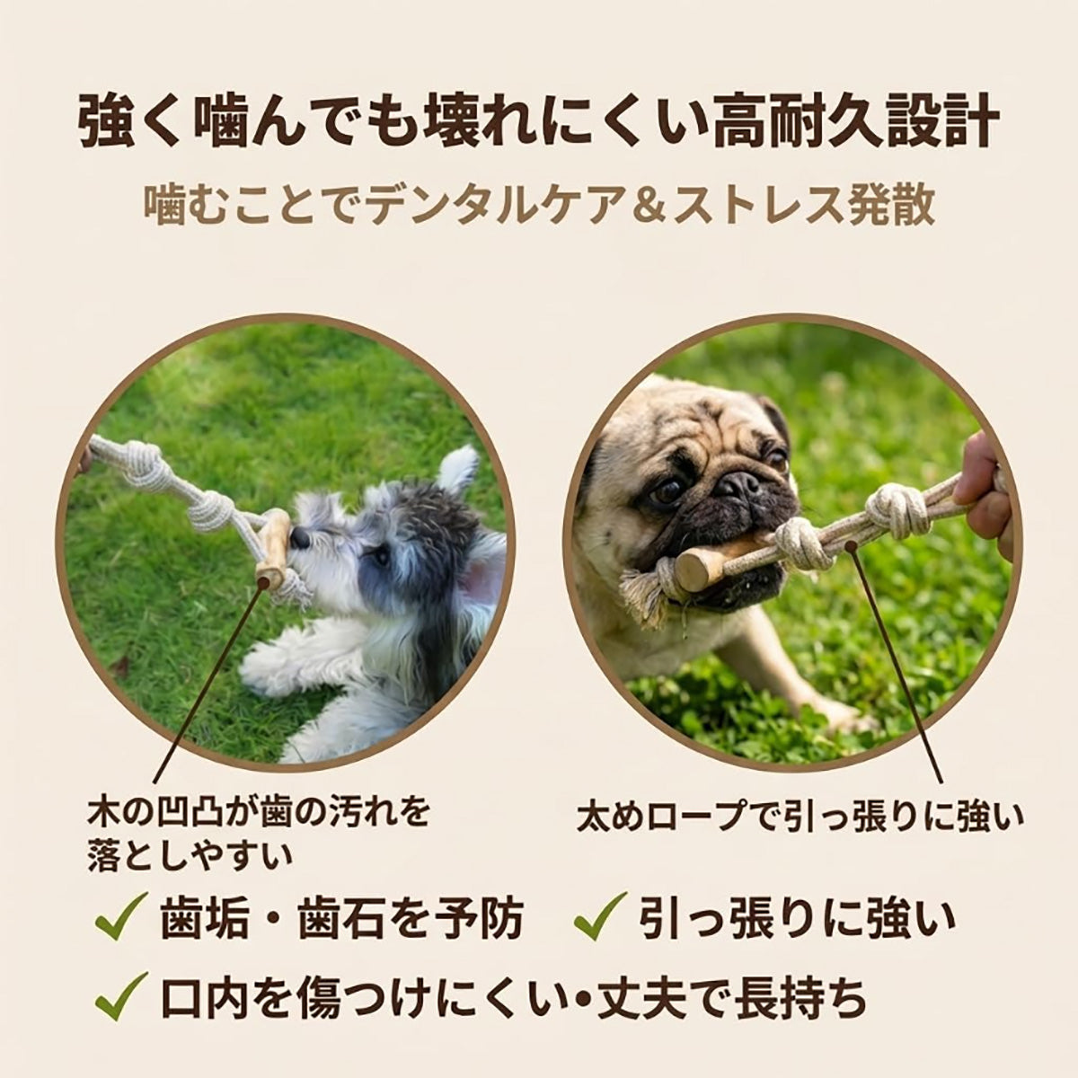 Harry Barker【天然コーヒー木使用】犬用デンタルチュウ ロングロープ付き 歯みがき効果 丈夫な噛むおもちゃ ストレス解消　磨きおもちゃ 歯みがき玩具 犬用ロープおもちゃ 引っ張りおもちゃ コーヒーウッド コーヒー木 天然木おもちゃ 無添加 無着色 安全設計