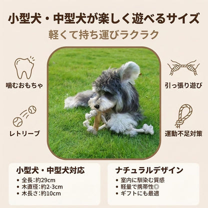 Harry Barker【天然コーヒー木使用】犬用デンタルチュウ ロングロープ付き 歯みがき効果 丈夫な噛むおもちゃ ストレス解消　磨きおもちゃ 歯みがき玩具 犬用ロープおもちゃ 引っ張りおもちゃ コーヒーウッド コーヒー木 天然木おもちゃ 無添加 無着色 安全設計