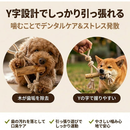 Harry Barker【天然コーヒー木使用】犬用デンタルチュウ コットンロープ付き 丈夫で長持ち 歯みがき効果 歯垢除去 歯石予防 無添加・安心素材 ストレス解消 運動不足解消 遊びながらデンタルケア 小型犬 中型犬 大型犬対応 噛むおもちゃ 口臭予防 コーヒーウッド コーヒー木 天然木 天然素材 無添加 無着色