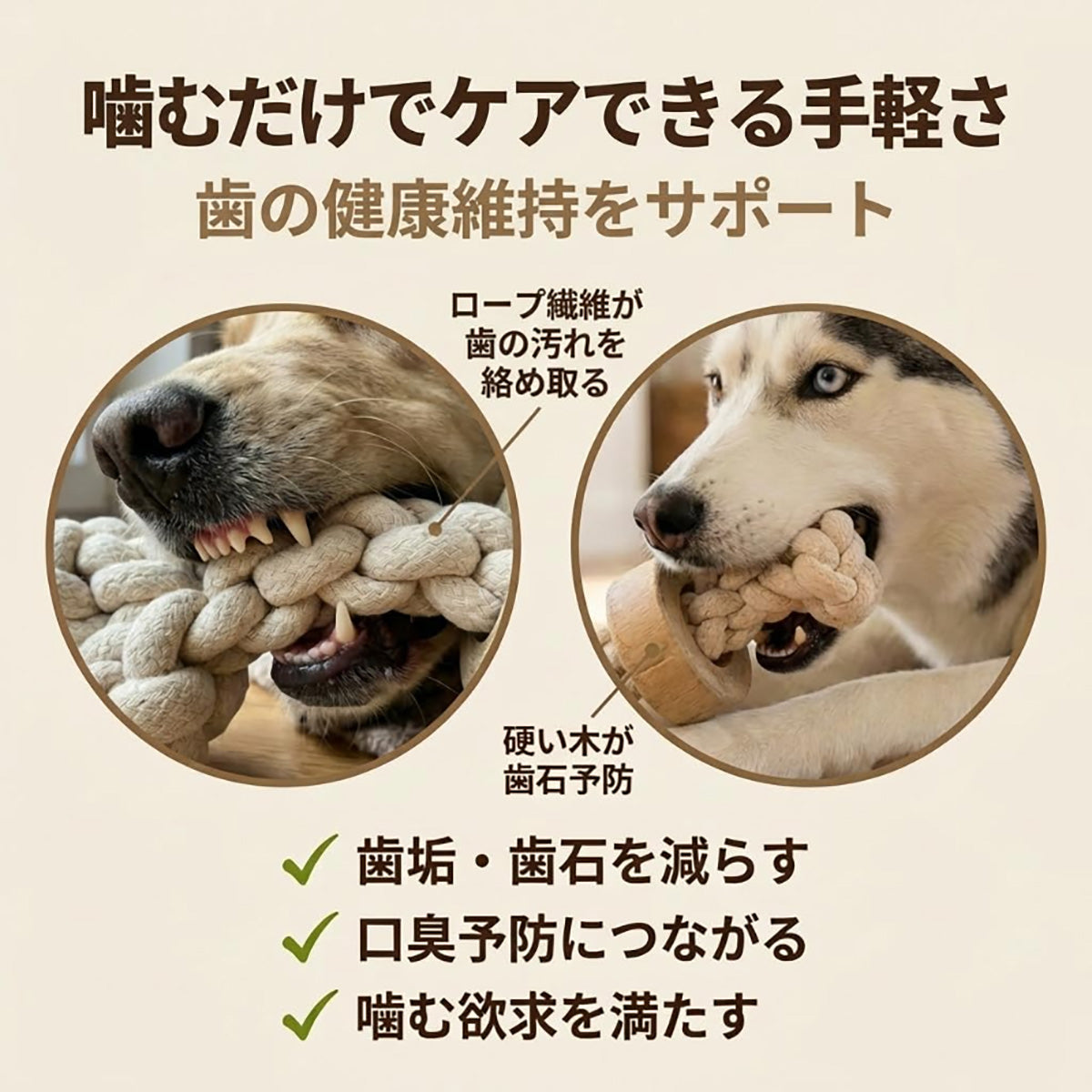 Harry Barker【天然コーヒー木リング付き】犬用デンタルチュウ 骨型コットンロープ 丈夫で長持ち 歯みがき効果 歯垢・歯石除去 無添加・安心素材 ストレス解消 運動不足解消 遊びながらデンタルケア 小型犬 中型犬 大型犬対応 噛むおもちゃ 骨型おもちゃ 木リング 天然素材 無添加 安心素材 エコフレンドリー 丈夫 長持ち