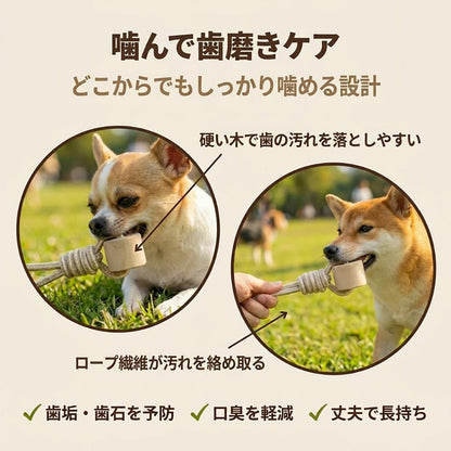 Harry Barker【天然コーヒー木使用】犬用デンタルチュウ コットンロープ付き 丈夫で長持ち 歯みがき効果 ストレス解消 犬用おもちゃ 噛む玩具 コーヒーウッド コーヒー木 天然木 コットンロープ ロープおもちゃ 引っ張りおもちゃ タグトイ デンタルケア 歯磨き