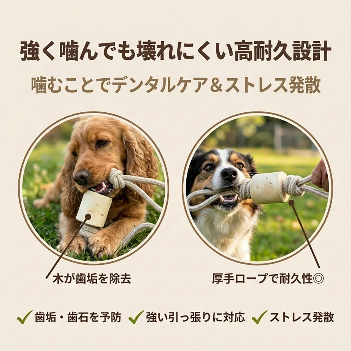 Harry Barker【天然コーヒー木使用】犬用噛むおもちゃ 丈夫なロープ付き 木製デンタルトイ 中型犬・大型犬対応 遊び＆ストレス解消 トレーニングや引っ張り遊びに最適 歯磨き効果でデンタルケア 多頭飼いにもおすすめ  歯磨きおもちゃ 歯垢除去 歯石対策 口臭予防 ストレス解消 ストレス発散 運動不足解消