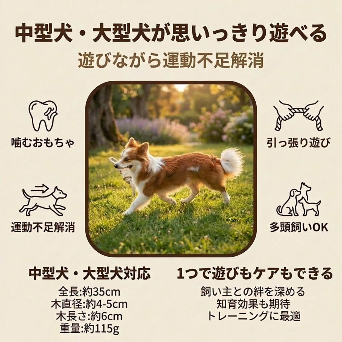Harry Barker【天然コーヒー木使用】犬用噛むおもちゃ 丈夫なロープ付き 木製デンタルトイ 中型犬・大型犬対応 遊び＆ストレス解消 トレーニングや引っ張り遊びに最適 歯磨き効果でデンタルケア 多頭飼いにもおすすめ  歯磨きおもちゃ 歯垢除去 歯石対策 口臭予防 ストレス解消 ストレス発散 運動不足解消