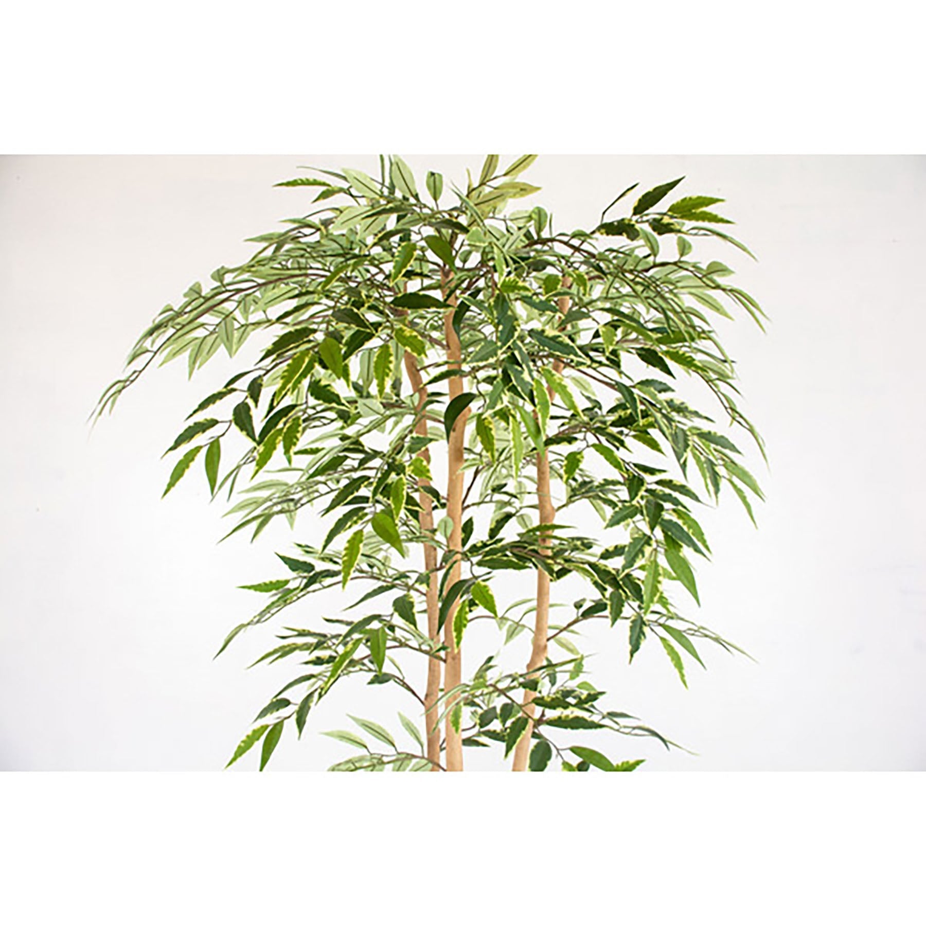 人工樹木／人工観葉植物 シラカシ寄植 – GREEN CROSS-select 工事現場