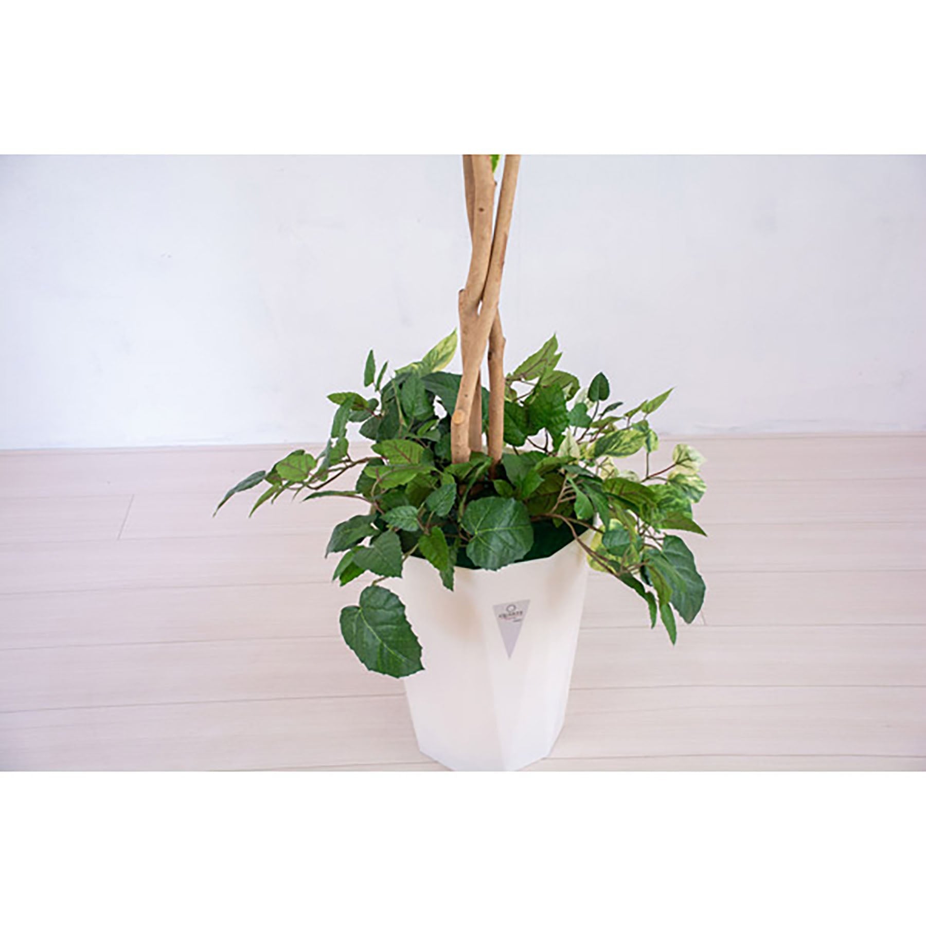 人工樹木／人工観葉植物 シラカシ寄植 – GREEN CROSS-select 工事現場