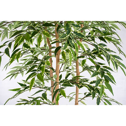 人工樹木／人工観葉植物　シラカシ寄植