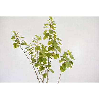 人工樹木／人工観葉植物　スモークツリー