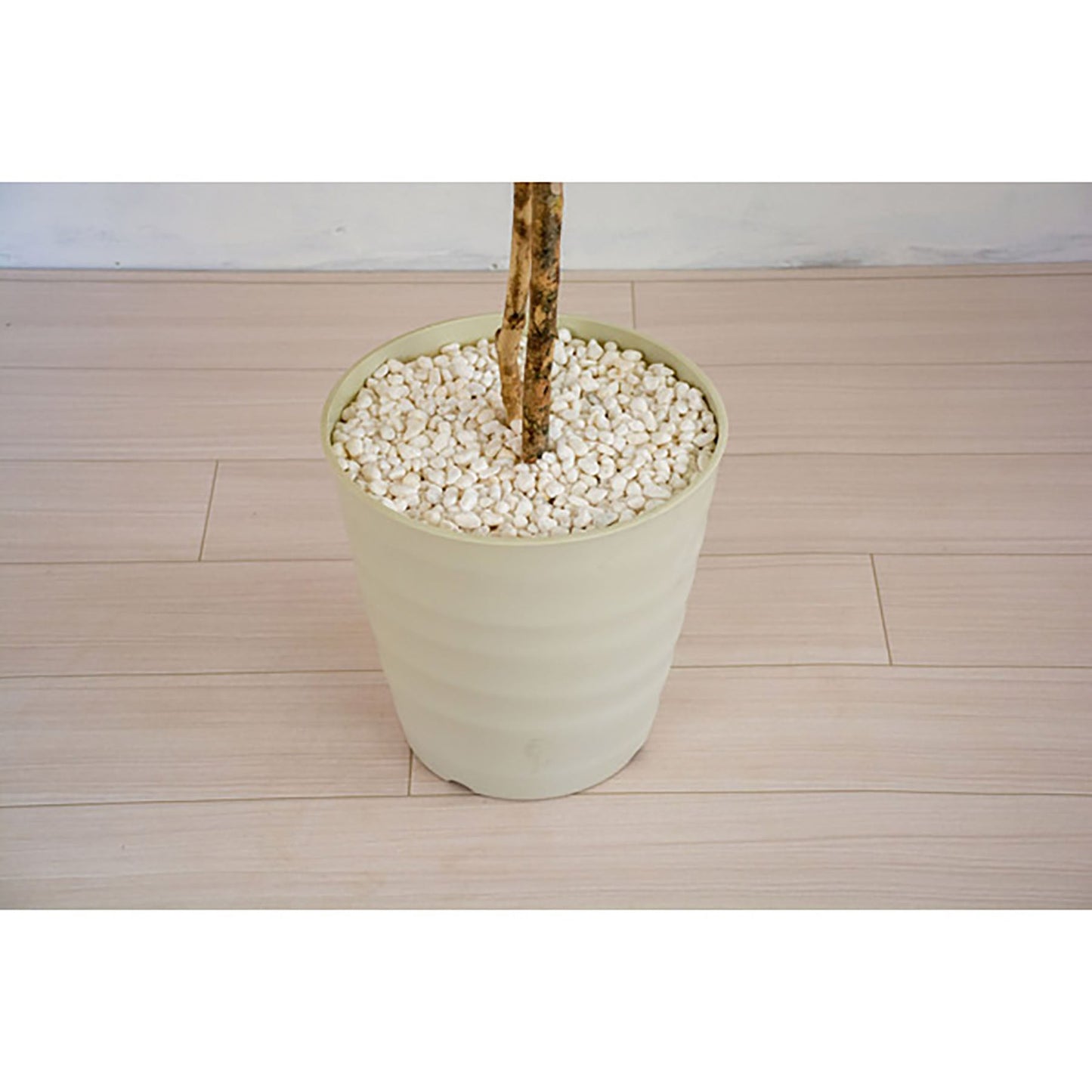人工樹木／人工観葉植物　フランスベンジャミン　１６０ｃｍ