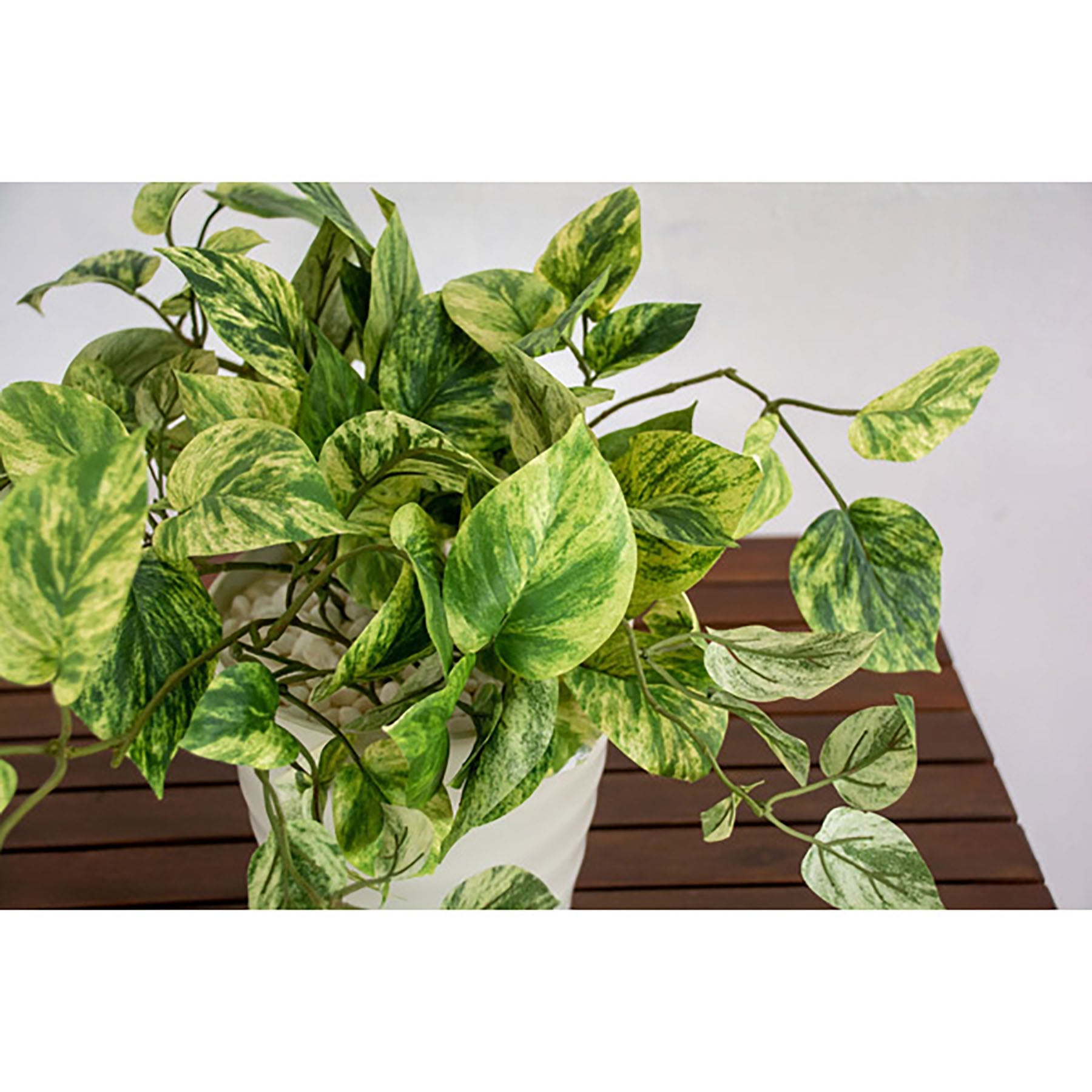 グリーンクロス 人工樹木/人工観葉植物 ポトス ( 6300028771 ) ポトス ヘゴ インテリアグリーン おしゃれ 人気 観葉植物 リアル