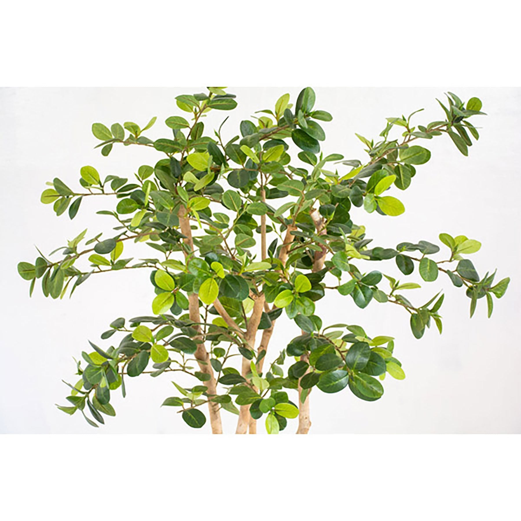 人工樹木／人工観葉植物 ガジュマル – GREEN CROSS-select 工事現場の