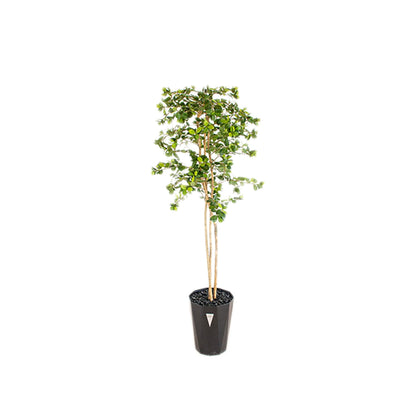 人工樹木／人工観葉植物　ガジュマル