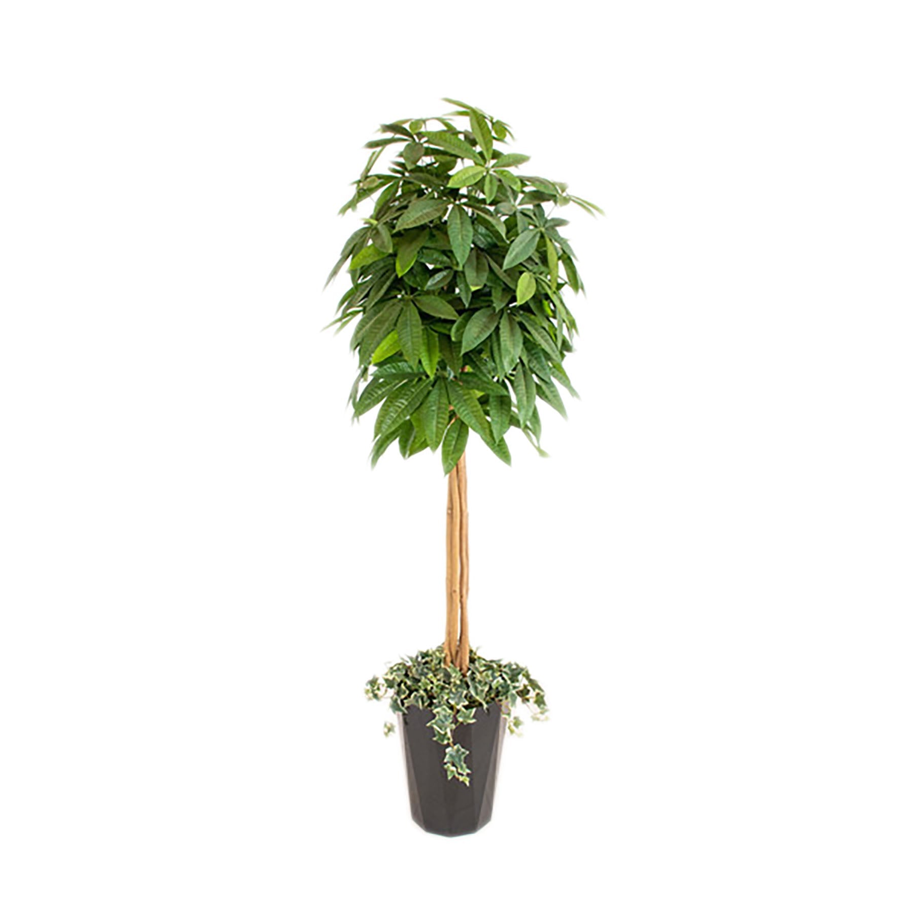人工樹木／人工観葉植物 シラカシ寄植 – GREEN CROSS-select 工事現場