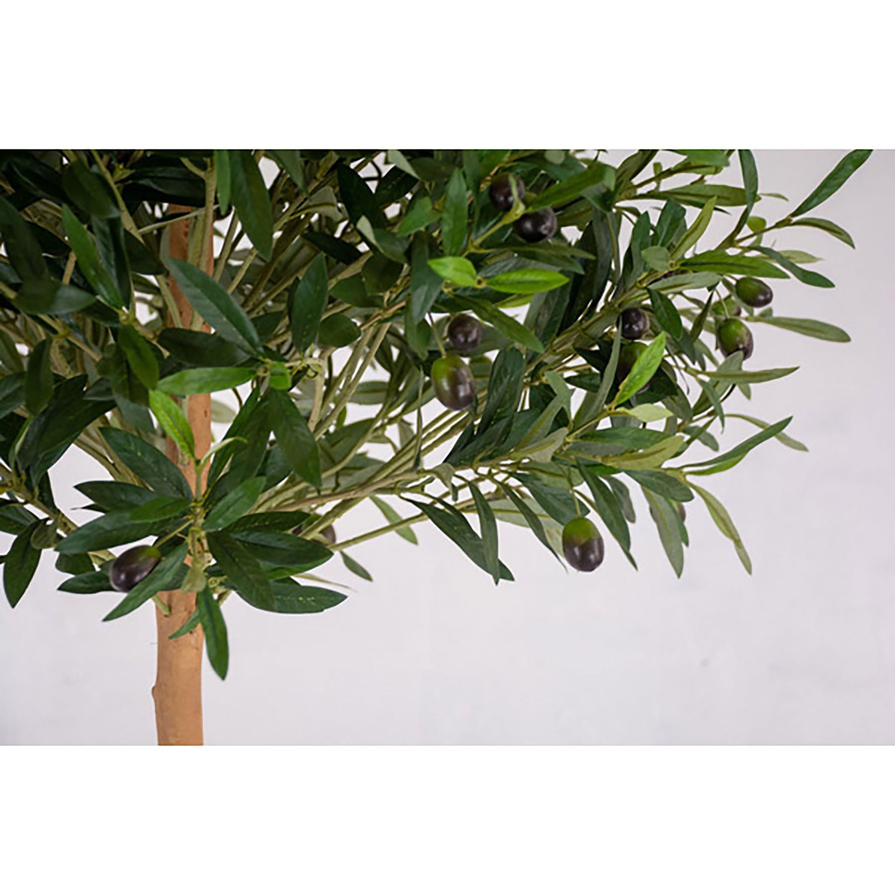 人工樹木／人工観葉植物 オリーブ 180cm – GREEN CROSS-select