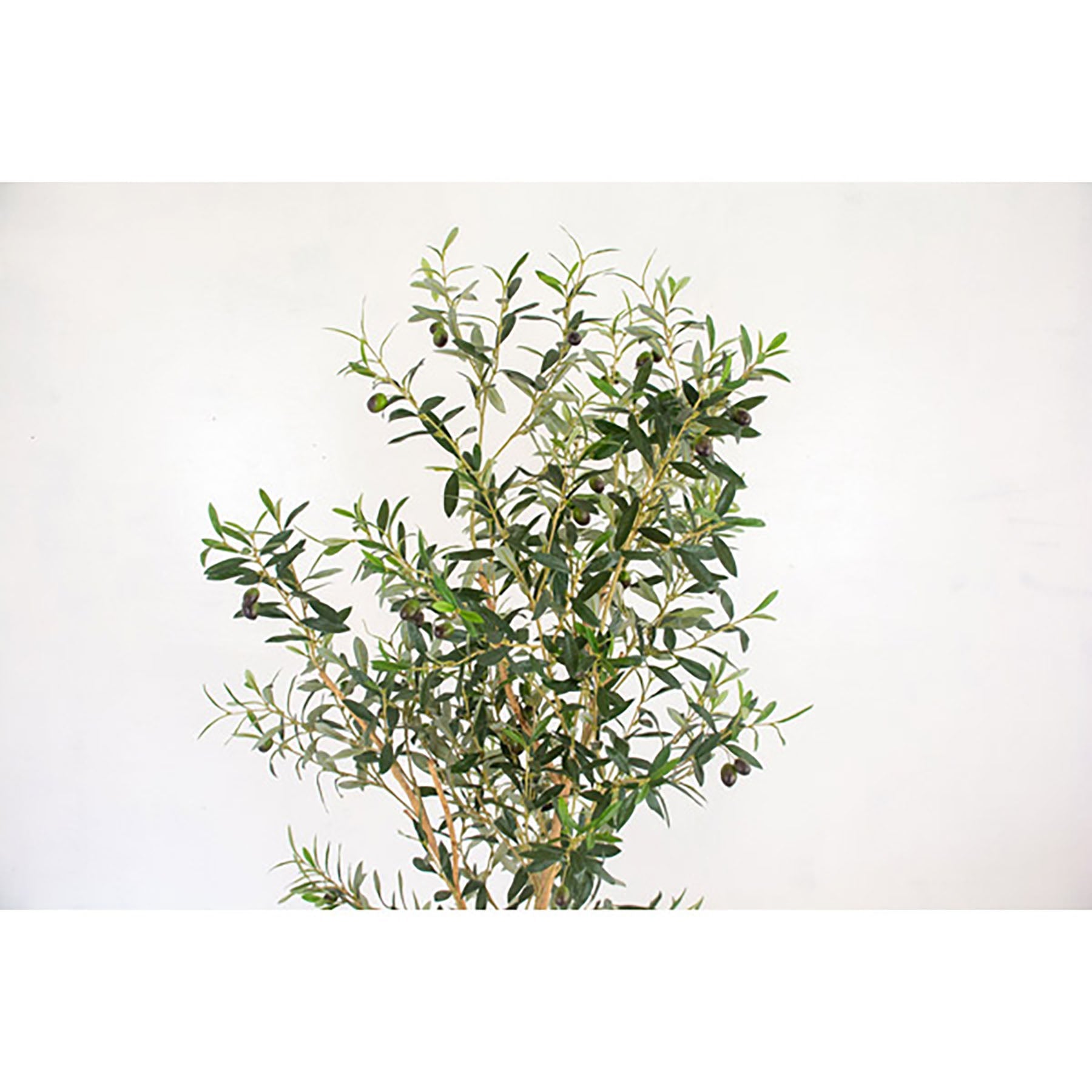 【引取り限定】オリーブの木 中型⭐︎古木⭐︎約160cm 人工樹木／人工観葉植物 オリーブ 160cm – GREEN CROSS-select
