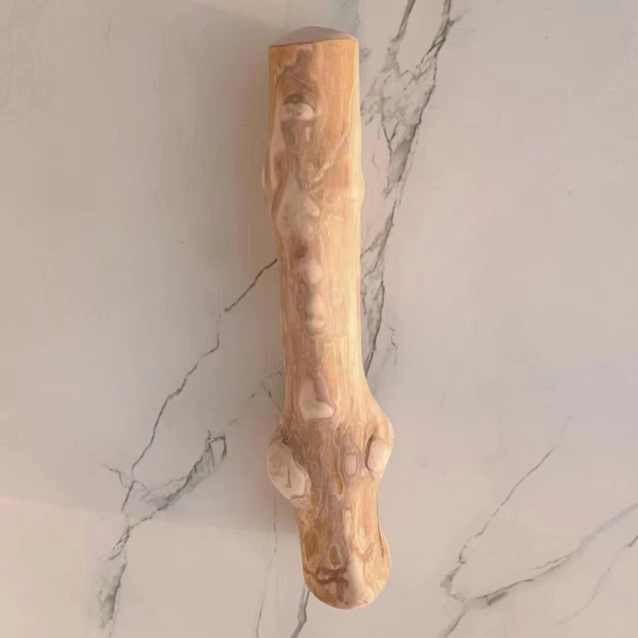犬用噛むおもちゃ　ＲｏｂｕｓｔａＬ　ＲｏｂｕｓｔａＬ