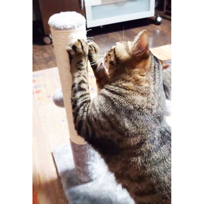 猫爪とぎポールおもちゃ付　ｓｃｐ０１