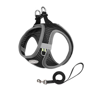 猫用ハーネス　　ブラック　Ｍ　ＢＬ－８７９Ｍ（ＢＫ）