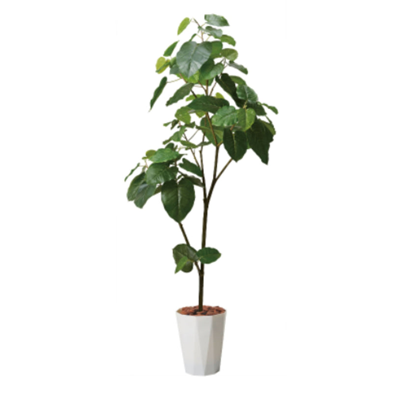 series-180-umbellata-pot