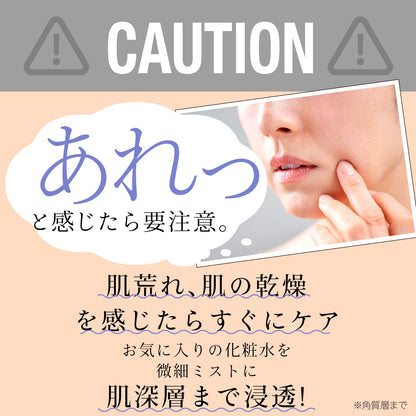 リッチミストガン　化粧水噴霧　２０ｍｌ　マイクロミスト　０．０３２ｍｍ　シルバー