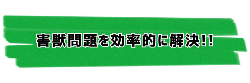 グリーンクロスの製品で大中問題を効率的に解決