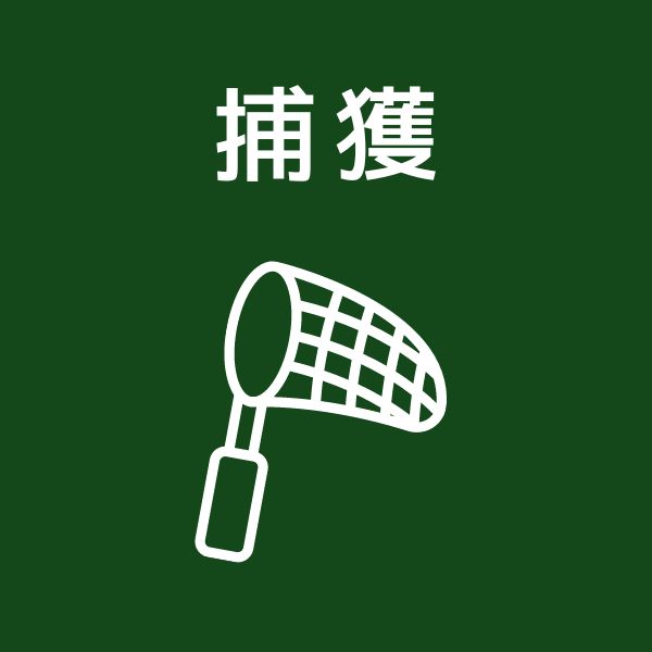 捕獲