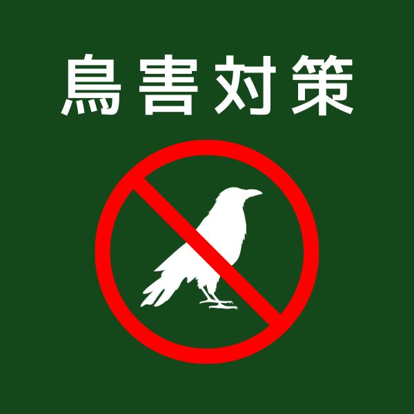 鳥害対策